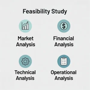 Feasibility study to evaluate project viability, risks, and potential for success in the market