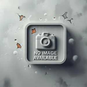 no-img-available