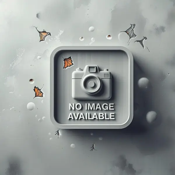 no-img-available